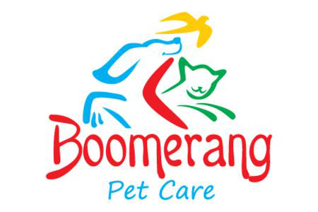 Boomerang Logo